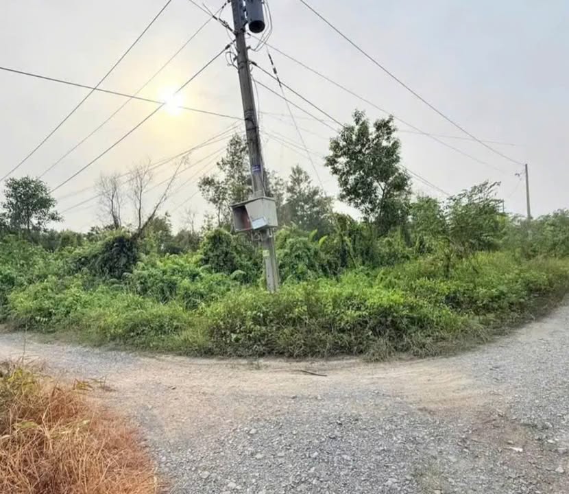 Đất vườn 3.017m² chính chủ tại Lương Bình, Bến Lức - Giá chỉ 4 tỷ thương lượng!