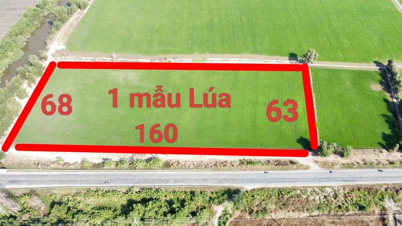 Đất Nền Mặt Tiền Đường N2, Long Thạnh, Thủ Thừa - 10.000m², Giá 13 tỷ, Thương Lượng!