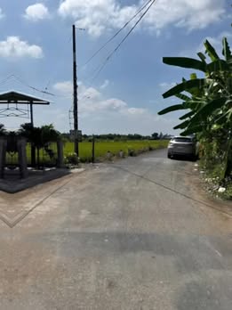 Nhà vườn hiện đại Tân Trụ 1120m² giá 5.9 tỷ - Chỉ cần đến xem là thích!