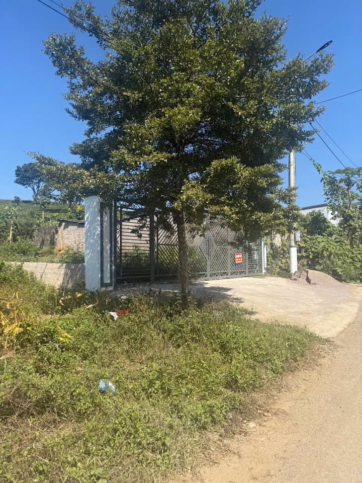 Đất thổ cư mặt tiền đường Tiền Tiến, phường Vân Sơn, Mộc Châu 200m² - Giá 4 tỷ, sổ hồng chính chủ!