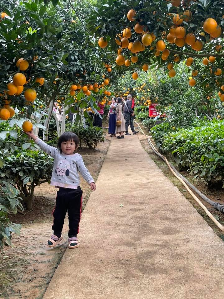 Đất nền phường Thảo Nguyên, Mộc Châu 132m² giá 3 tỷ - Cơ hội đầu tư hấp dẫn!