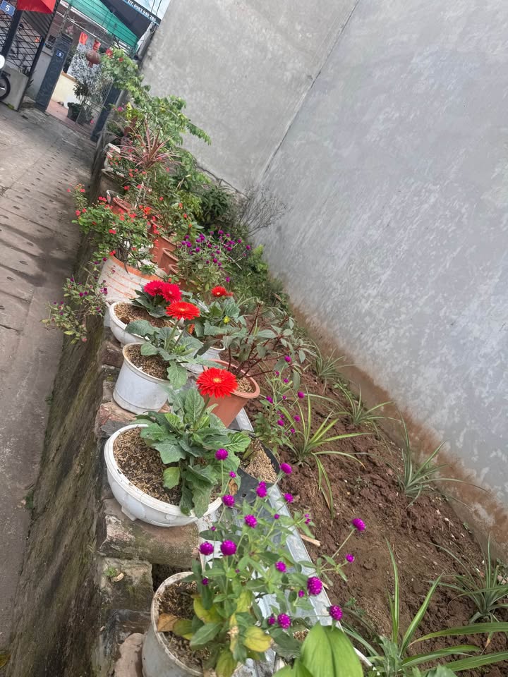 Đất 61m² Ngõ 42 Triều Khúc Giá 6.5 Tỷ - Cơ Hội Vàng Đầu Tư!