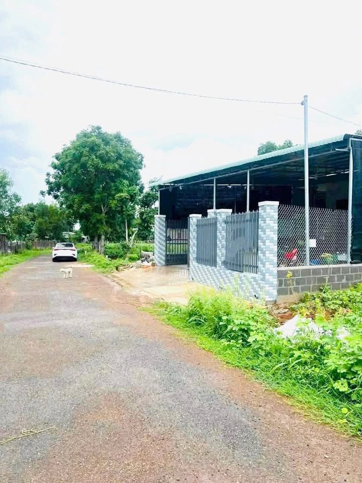 Đất nền Long Phước 442m² giá 1.65 tỷ - Vị trí đẹp, thuận tiện đầu tư!