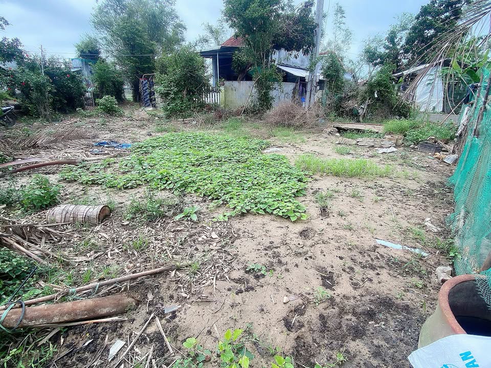 Đất nền An Ninh Tây 200m² giá chỉ 200 triệu - Đường ô tô, sổ đỏ chính chủ!