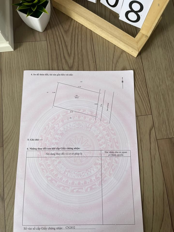 Đất cây lâu năm 1007m² phường Đông Thành, Vĩnh Long - Giá 800 triệu, đầu tư sinh lời!