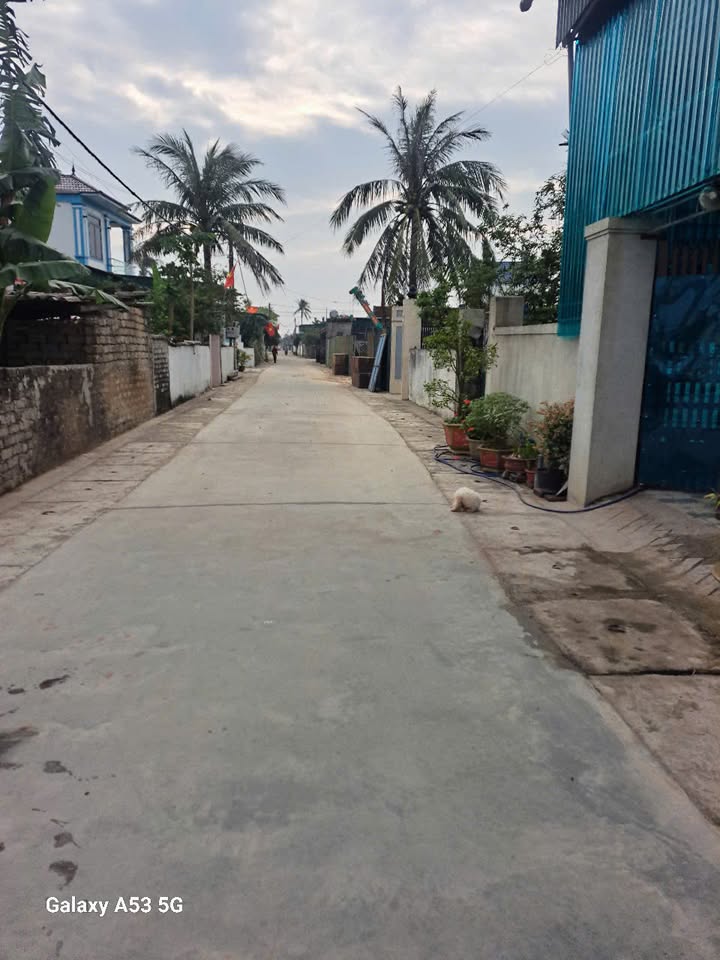 Đất nền Diễn Kim 142,5m² giá 1 tỷ - Vị trí đẹp gần trung tâm!