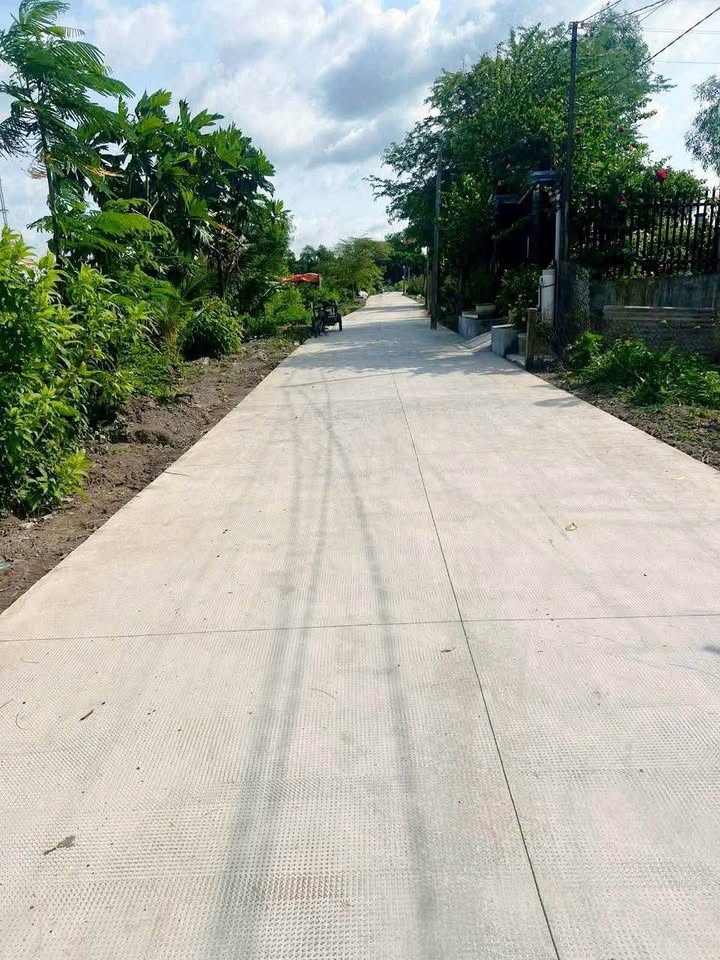 Đất lúa 1000m² tại Bình Tâm, Tân An - Giá chỉ 1.6 tỷ, Hậu nở 26m