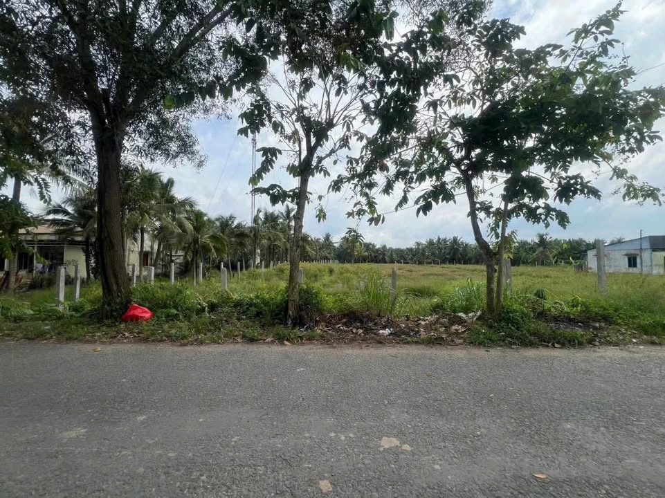 Đất mặt tiền Phú Tân, Châu Thành 1300m² giá 3.25 tỷ - Đầu tư sinh lời ngay!