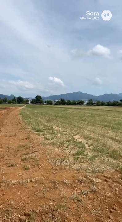 Đất nền Phú Cát - Quốc Oai 2300m² giá thỏa thuận - Sổ đỏ chính chủ