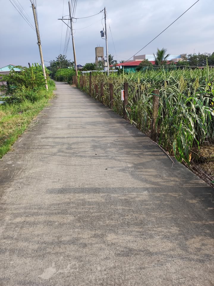 Đất thổ cư 2500m² Phú Ngãi Trị, Châu Thành, Long An - Giá chỉ 5.5 tỷ, thương lượng tốt!