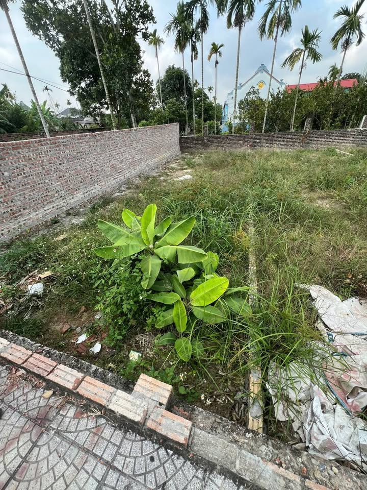 Đất nền liền kề An Dương 67m² giá 1 tỷ - Cơ hội đầu tư tuyệt vời!