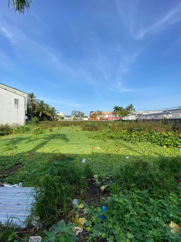 Bán đất vườn 1.500m² tại Rạch Giá - Tiềm năng đầu tư cao!