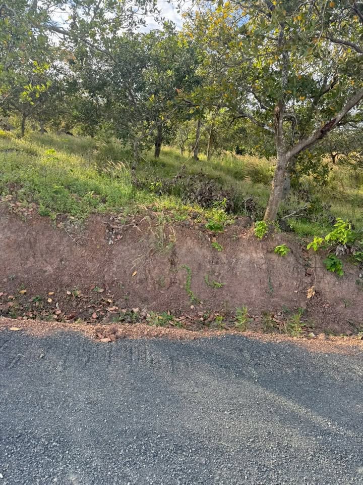 Đất nền Lộc Thành Bảo Lâm 25.200m² giá 1 tỷ - Đầu tư sinh lời lý tưởng!