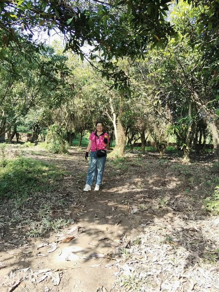 Đất Farm 9.300m² tại Phú Minh, Sóc Sơn giá 60.5 tỷ - Tiềm năng nghỉ dưỡng lớn!