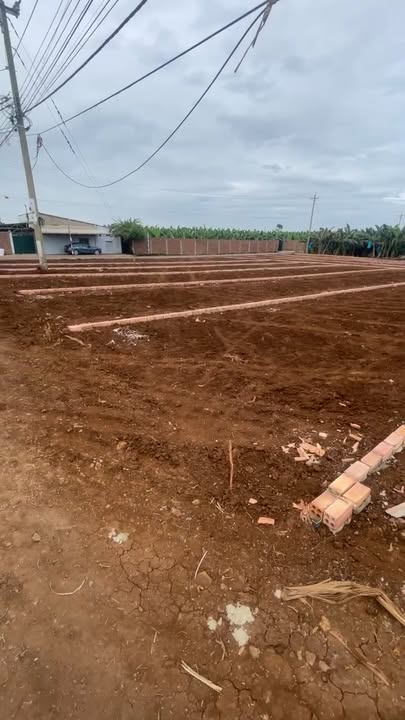 Đất thổ cư 145m² mặt tiền đường 19/5, Trảng Bom - Giá 750 triệu, Sổ đỏ chính chủ!