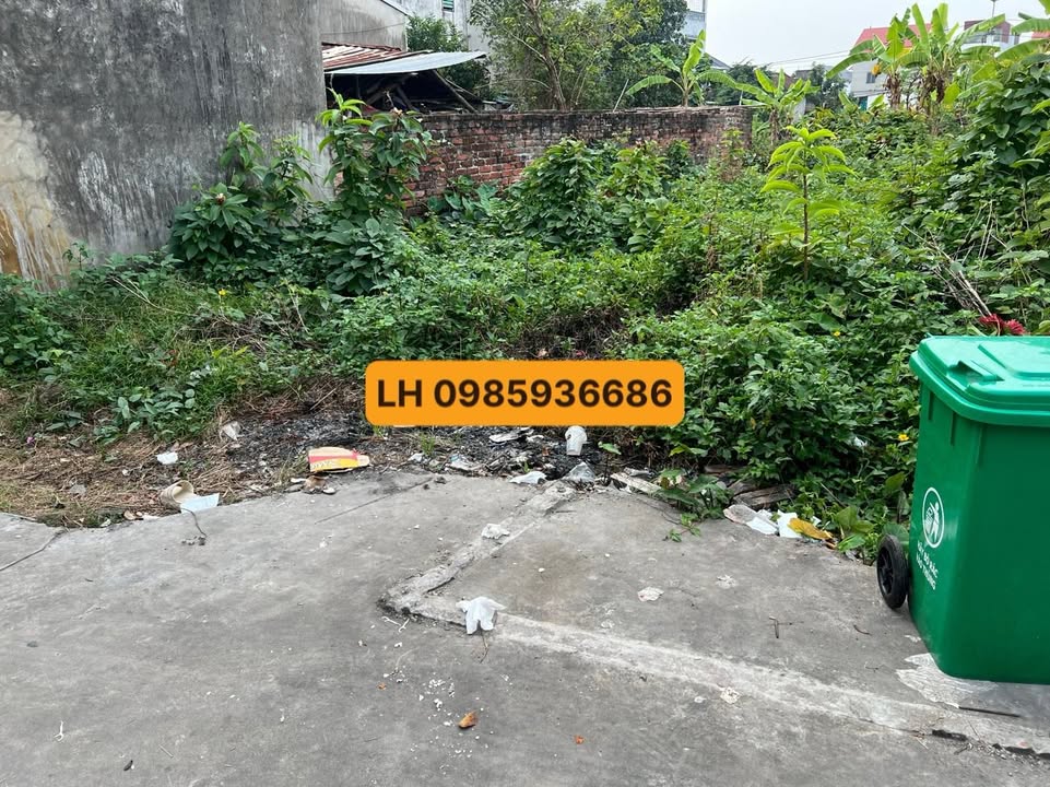 Đất nền 62m² Tổ 9 Quang Minh giá 1.65 tỷ - Cơ hội đầu tư sinh lời!