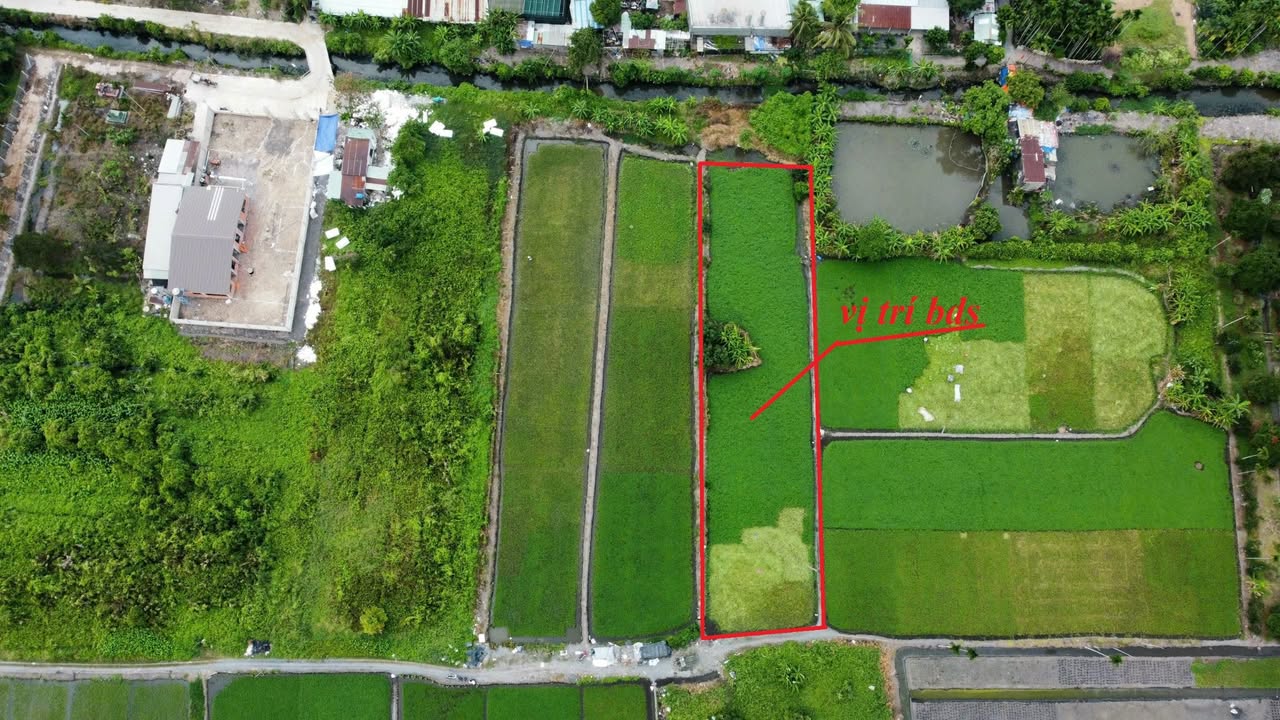 Đất vườn quy hoạch 3 mặt tiền 1596m² tại Bình Mỹ Củ Chi - Giá chỉ 7 triệu/m²