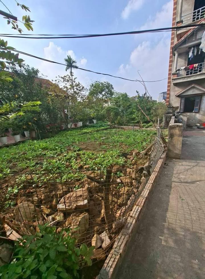 Đất chính chủ Khánh Hà, Thường Tín, 72m² giá 3.75 tỷ - Tiềm năng đầu tư cao!