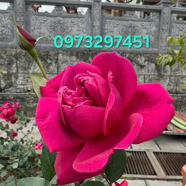 Đất nền Tân Hiệp, Tân Uyên 200m² giá 1.8 tỷ - Đầu tư sinh lời ngay!