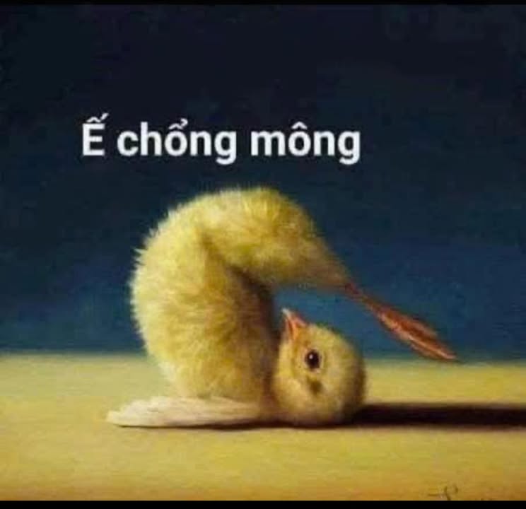 Đất nền Tân Hiệp Tân Uyên 400m² giá 1.8 tỷ - Đường xe tải thuận tiện!