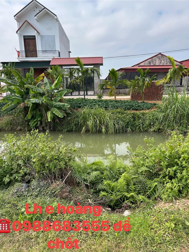 Đất thổ cư Bảo Đài, Lục Nam 200m² giá 1 tỷ - Đầu tư sinh lời ngay!