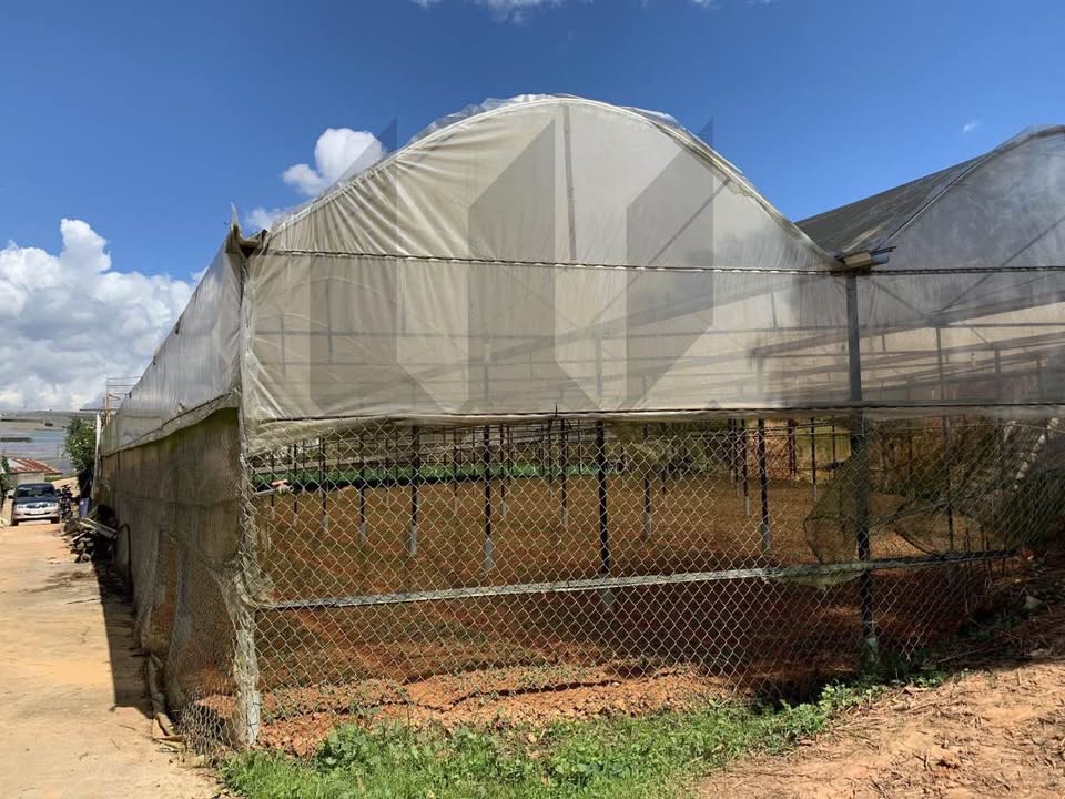 Đất nền Nam Hồ Đà Lạt 290m² giá chỉ 5.8 tỷ - Đầu tư sinh lời ngay!