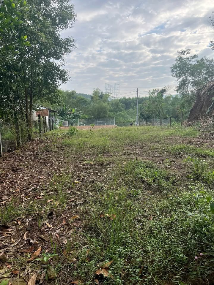 Đất ở Hòa Phú, Đà Nẵng 602m² giá 4 tỷ - View sông tuyệt đẹp, không ngập lụt!