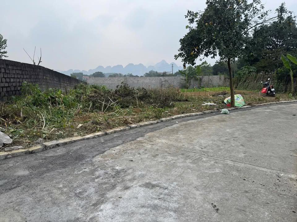 Đất thổ cư 300m² tại Thanh Cao, Lương Sơn - Giá chỉ 1.5 tỷ, đầu tư sinh lời!