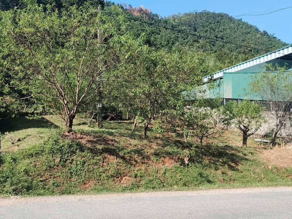 Đất nền Đà Bắc Hòa Bình 457m² giá thỏa thuận - Phù hợp nghỉ dưỡng cuối tuần!