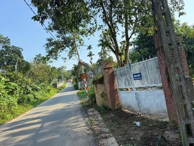 Đất nền Lâm Sơn, Lương Sơn, Hoà Bình 3154m² - Lô góc 2 mặt tiền, giá thỏa thuận!