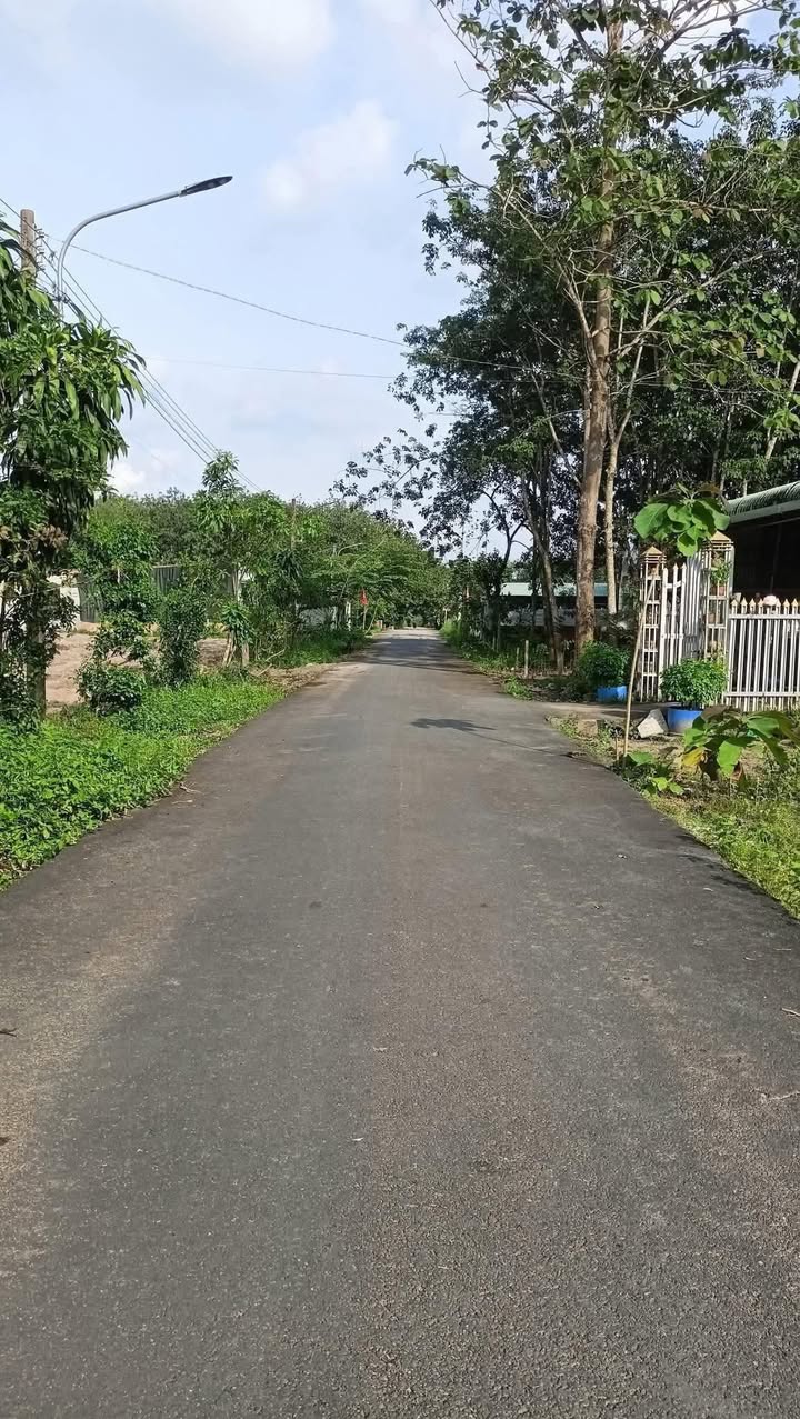 Đất nền hẻm 124 Phước Vĩnh, Bình Dương 477m² giá chỉ 850 triệu - Đầu tư sinh lời ngay hôm nay!