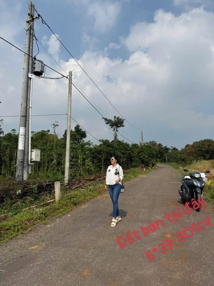 Đất nền chính chủ tại Bình Giã, Châu Đức 195m² - Giá chỉ 400 triệu, tặng quà hấp dẫn!