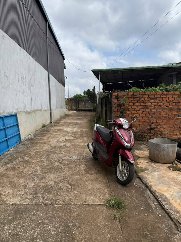 Đất thổ cư Ea Kao - 185m² giá 720 triệu - Nằm ngay bờ hồ Hoàng Nam!