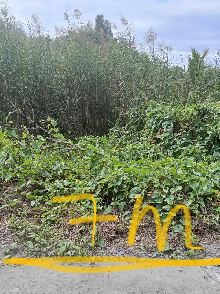 Đất thổ cư Hiệp Lợi, Ngã Bảy 133m² - Bán chính chủ, giá thỏa thuận!