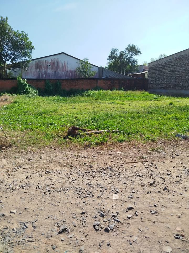 Đất thổ cư 186m² xã Lương Hoà, huyện Châu Thành - Giá 500 triệu thương lượng!