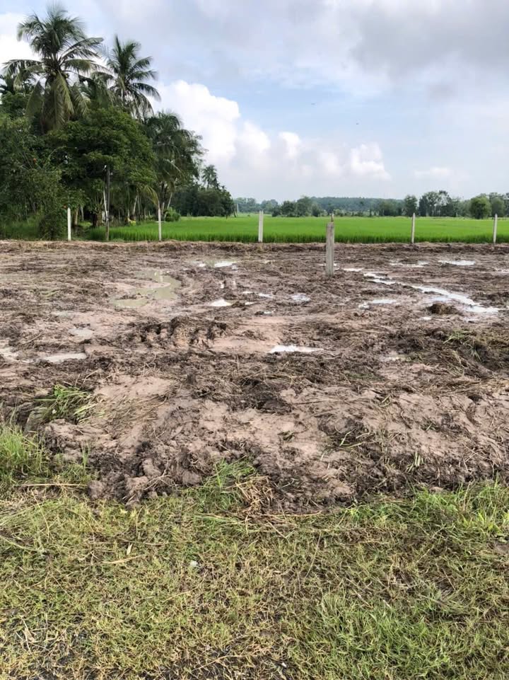 Đất thổ cư Gia Lộc, Trảng Bàng, Tây Ninh 588m² giá 400 triệu - Chính chủ cần bán gấp!