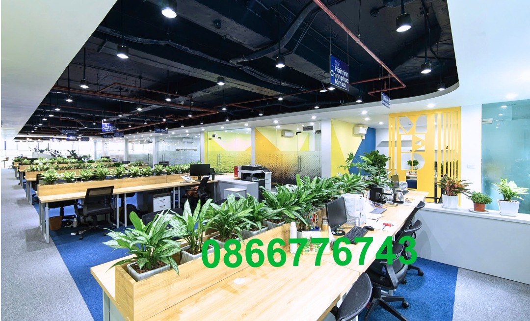 Văn phòng cho thuê N01T4 Ngoại Giao Đoàn 500m² giá 125 triệu - Nội thất cao cấp, sẵn sàng làm việc!