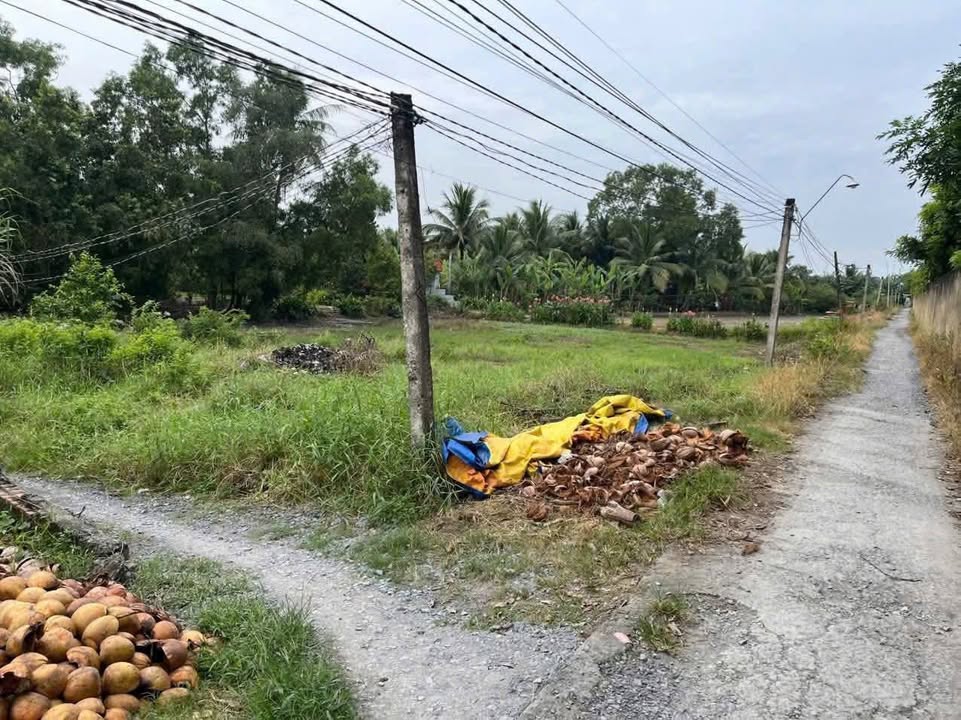 Đất vườn 1.250m² tại Ấp Chánh Long Hiệp, Bến Lức - Giá chỉ 1.1 tỷ, thương lượng nhẹ!