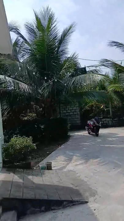 Đất vườn Tân Khánh, Tân An 804m² giá 750 triệu - Cơ hội đầu tư hấp dẫn!