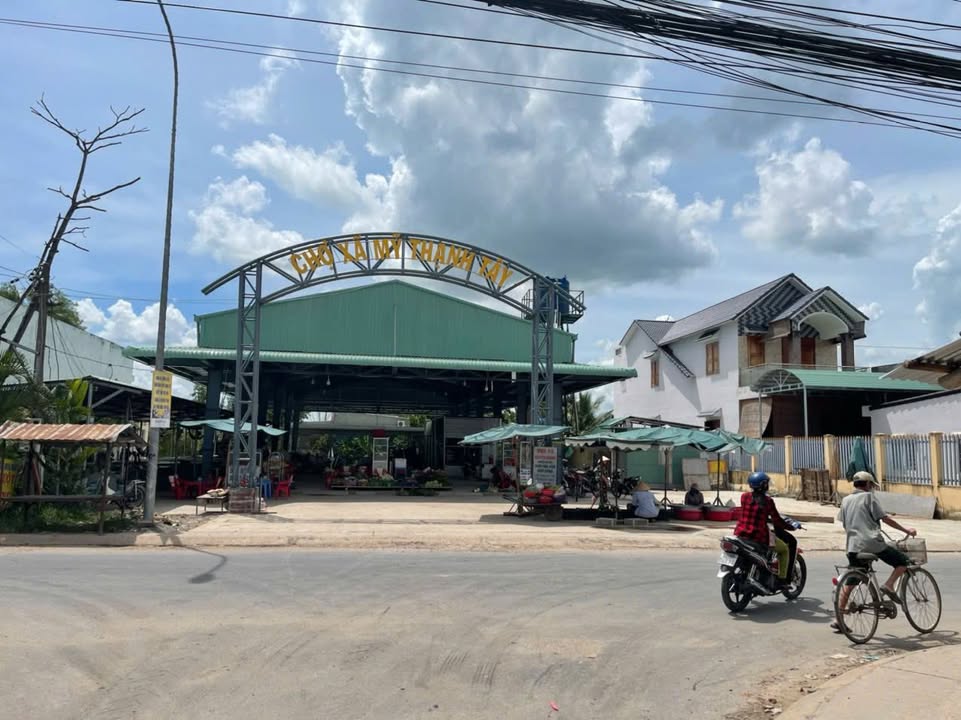 Đất nền 4077m² tại Ấp Voi, Đức Huệ - Giá chỉ 4.5 tỷ, thương lượng!