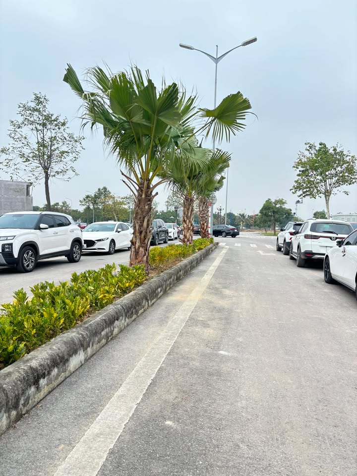 Đất nền Khu Đô Thị Việt Hàn, Dĩnh Trì, Bắc Giang 90m² giá 4 tỷ - Cơ hội đầu tư hấp dẫn!