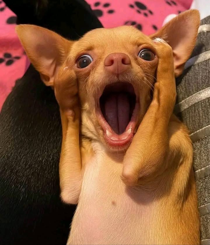 Đất nền Hưng Đạo, Dương Kinh 52m² giá chỉ 1.1 tỷ - Cơ hội đầu tư hấp dẫn!