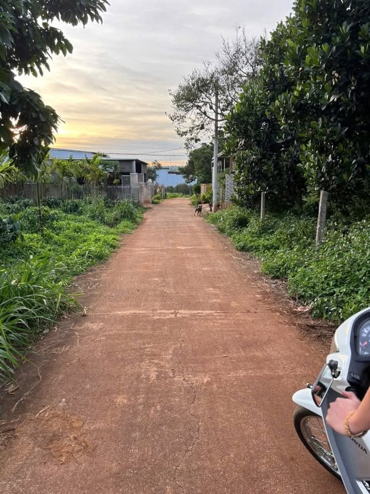 Đất nền liền kề phường Thiện An 210m² giá 1.45 tỷ - Cơ hội đầu tư hấp dẫn!