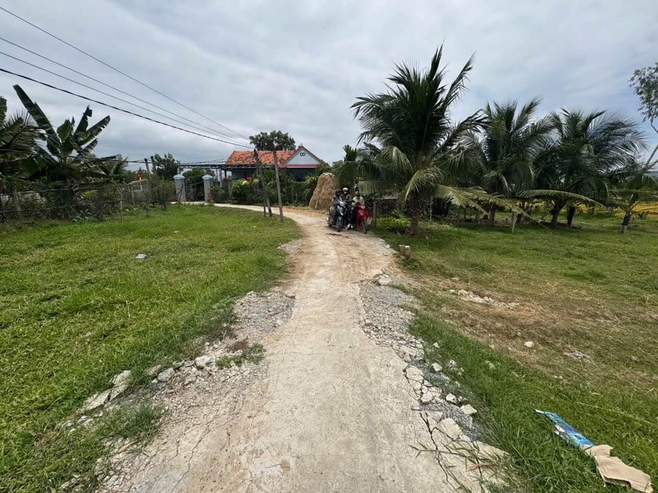 Đất nền thổ cư 197m² tại Thôn Vĩnh Thạnh, xã Hòa Trí - Giá chỉ 450 triệu!