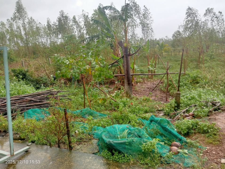 Đất nền Ngô Mây, Phù Cát 108m² - Giá thỏa thuận, cơ hội đầu tư hiếm có!