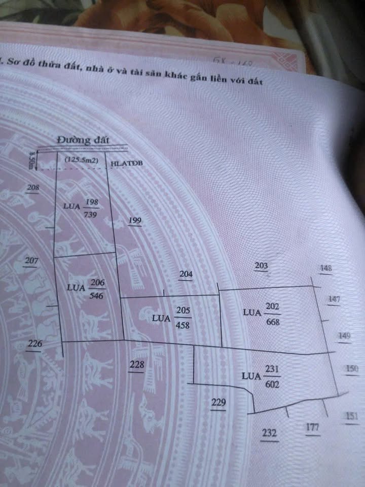 Đất nông nghiệp 3000m² tại Thái Hòa, Tân Uyên - Cơ hội đầu tư sinh lời!