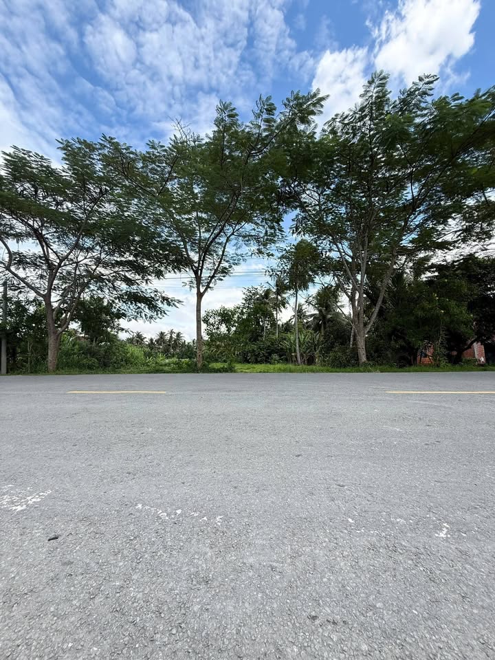 Đất mặt tiền Tỉnh lộ 883, Giồng Trôm, Bến Tre 2099m² - Tiềm năng đầu tư cao!