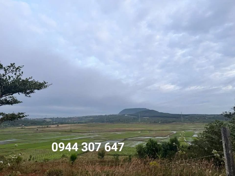 Đất vườn xã Ia Kênh, Pleiku 2430m² giá 580 triệu - View đẹp mê mẩn!