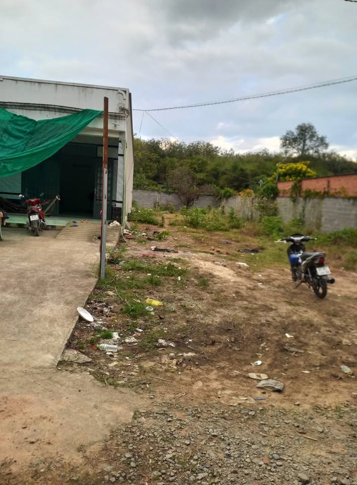 Nhà đất phường An Điền, Bến Cát 175m² giá 1 tỷ - Sẵn sàng ở ngay!