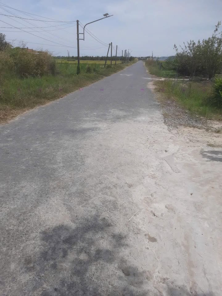 Đất 10000m² Mặt Tiền Nhựa 44m Giá 1.4 Tỷ - Tiềm Năng Đầu Tư Tại Gò Dầu, Tây Ninh!